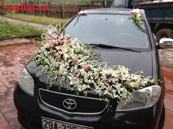 Dịch vụ cho thuê xe cưới Toyota altis giá rẻ nhất tại Hà Nội
