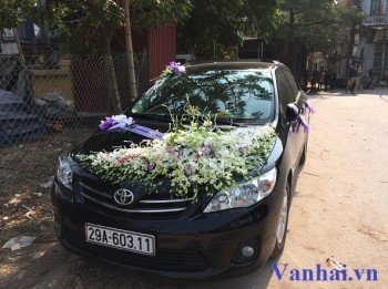 Cách thuê xe cưới toyota altis giá rẻ nhất tại quận Ba Đình