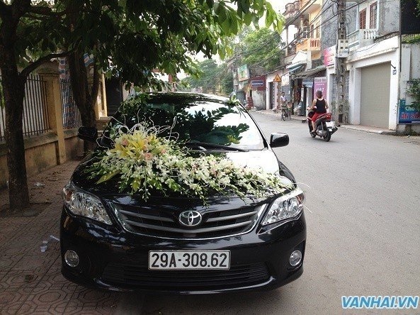 Cần thuê xe cưới Toyota altis giá rẻ nhất tại Hà Nội