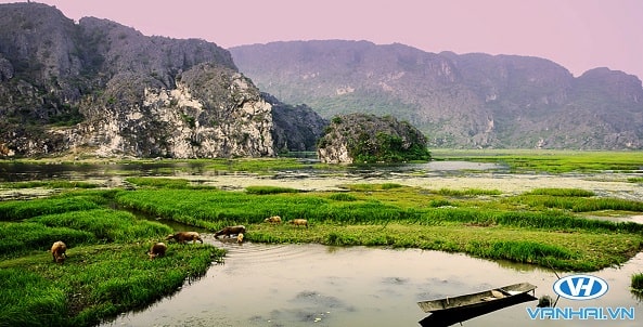 Đầm Vân Long mang nét đẹp tĩnh lặng, kỳ vĩ nhưng không kém phần thơ mộng