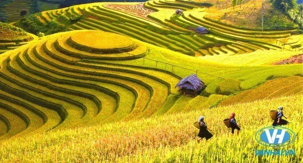 Bạn nên đi du lịch Hà Giang vào mùa nào trong năm? 