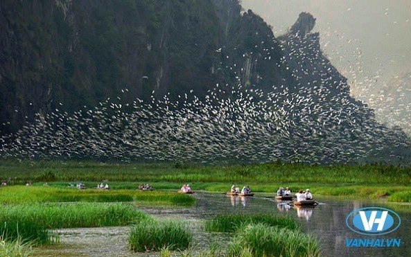 Khu bảo tồn thiên nhiên ngập nước Vân Long