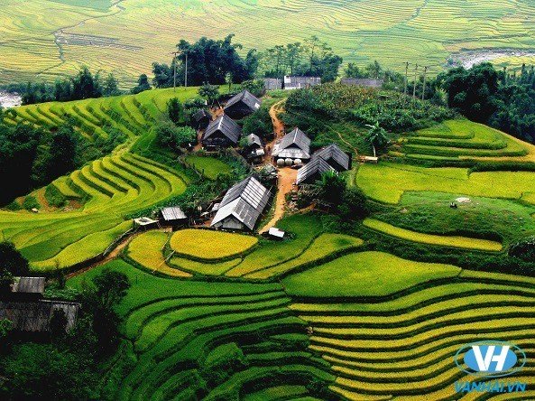 Ruộng bậc thang ở Sapa – Lào Cai