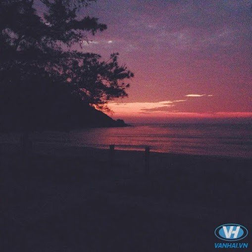 Ban đêm loanh quanh ngoài bãi biển các bạn sẽ nhìn thấy đom đóm sáng khắp mặt nước, cảnh đẹp vô cùng lãng mạn