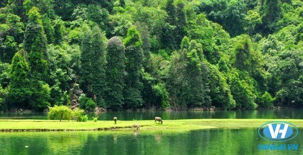 Du lịch hồ Ba Bể tỉnh Bắc Kạn – Điểm đến “siêu hot” hè 2016