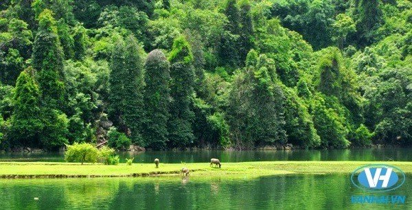 Du lịch Hồ Ba Bể tỉnh Bắc Kạn – Điểm đến “siêu hot” hè 2016