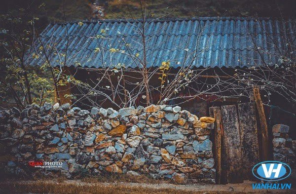 Màu xám đặc trưng của những ngôi nhà cổ ở Đồng Văn