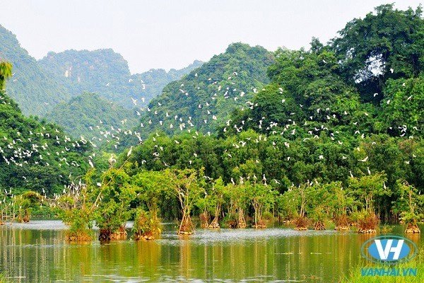 Vân Hải chia sẻ kinh nghiệm du lịch Ninh Bình
