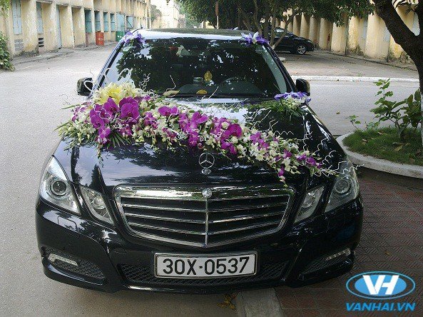 Xe hoa cưới Mercedes chéo ngang cùng với Lan Hồ Điệp