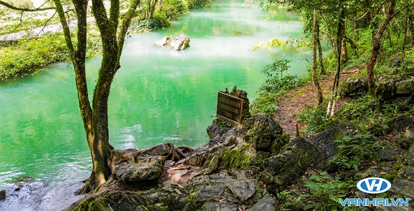 Khu di tích Pác Bó nổi bật với dòng suối xanh ngắt bên cạnh gốc cây cổ thụ