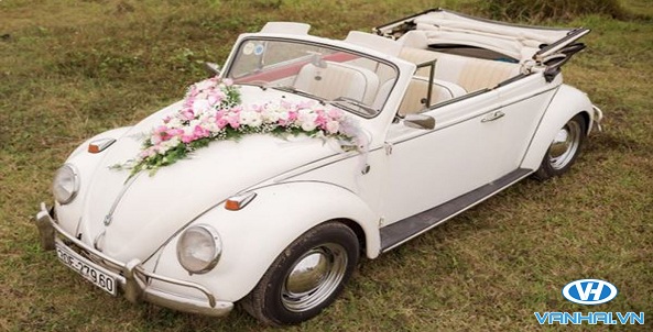 Mẫu xe hoa cưới vô cùng lộng lẫy, đẹp mắt của Vân Hải
