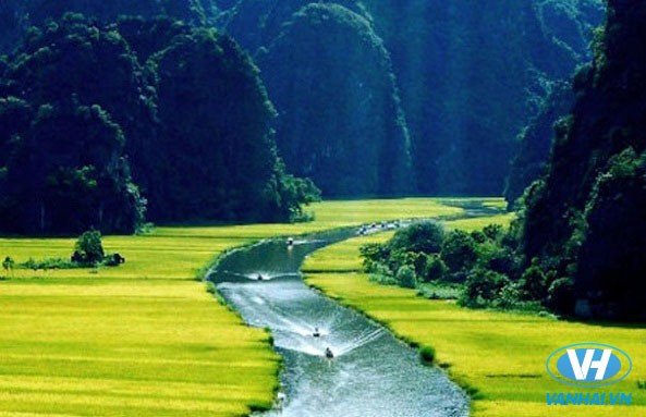 Du thuyền trên sông Ngô Đồng thưởng ngoạn cảnh đẹp của Tam Cốc Bích Động