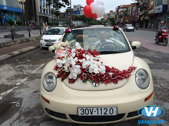 Dịch vụ cho thuê xe 4 chỗ Volkswagen tại Hà Nội 