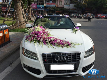 Cho thuê xe cưới Audi giá rẻ  tại Hà Nội