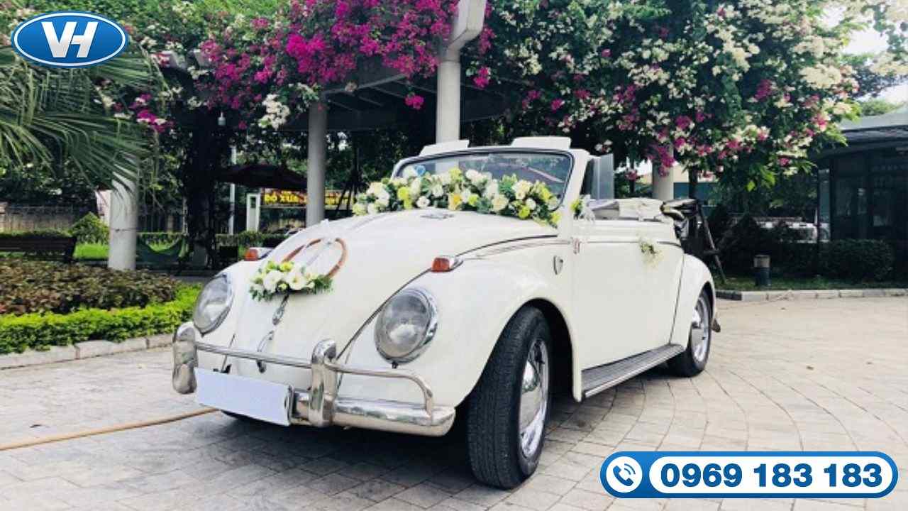 Cho thuê xe cưới Volkswagen là dịch vụ được chú ý