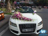 Cho thuê xe cưới Audi giá rẻ nhất tại Hà Nội