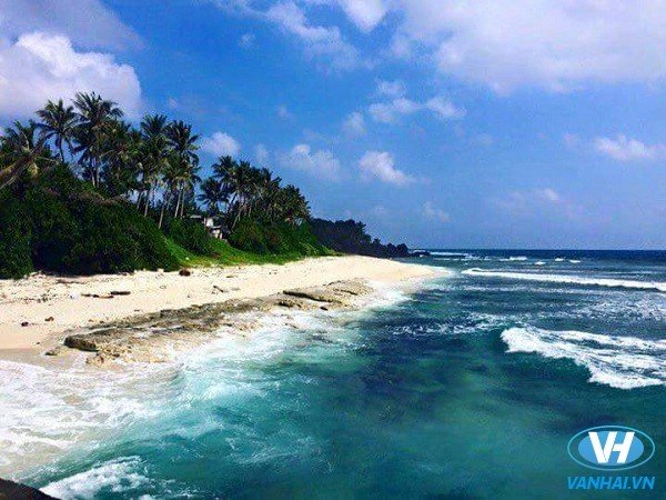 Du lịch bụi khám phá “Maldives của Việt Nam” – đảo Lý Sơn Quảng Ngãi