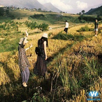 Dịch vụ cho thuê xe và những lầm tưởng khiến bạn hao tiền tốn của