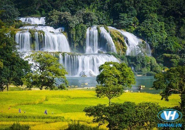 Những ngày đầu thu, thác Bản Giốc như dải lụa trắng trải dài núi rừng Việt Bắc hòa quyện cùng cánh đồng lúa chín vàng tạo nên một bức tranh thiên nhiên nên thơ mà kỳ vĩ.