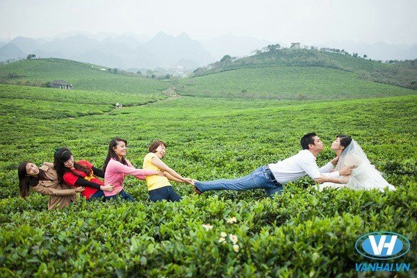 Mộc Châu, Sơn La vốn là địa điểm du lịch nổi tiếng đồng thời cũng là địa điểm chụp ảnh cưới quen thuộc của cộng đồng cưới miền Bắc.