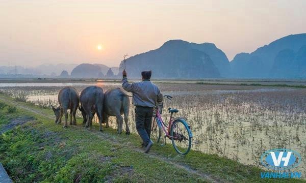 Du khách Noodlequeen kể rằng ấn tượng vô cùng tuyệt vời của ông sau 2 tuần du lịch Việt Nam chính là Ninh Bình. Noodlequeen đạp xe khám phá làng mạc, lắng nghe tiếng chim hót, tiếp xúc và tìm hiểu cuộc sống của những người nông dân.