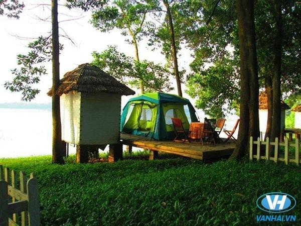 Sơn Tinh Camp có rất nhiều mô hình cắm trại với đa dạng các loại dịch vụ, phù hợp cho các hoạt động ngoài trời: trại đơn, đôi, trại tập thể, trại gia đình hoặc dịch vụ thuê chỗ để cắm trại.