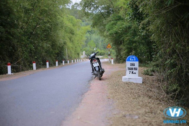  Rừng phong chỉ có ở xứ lạnh, nhưng thiên nhiên đã ưu đãi cho nơi đây cảnh quan tuyệt đẹp này. Lá đổi màu theo mùa. Lá phong xanh xum xuê vào mùa hạ và ngả dần màu vàng, đỏ thẫm rồi rụng xuống vào mùa đông.