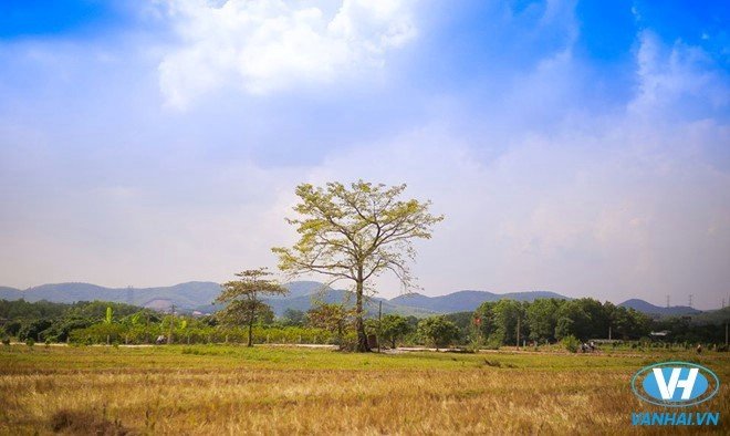 Không gian khoáng đạt, yên bình nhìn từ chùa Thanh Mai.