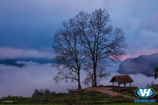 Xã Y Tý nằm ở phía tây của huyện Bát Xát, tỉnh Lào Cai, trên vùng núi đá có độ cao hơn 2.000 m. Cùng với Tà Xùa, Sa Pa..., đây là một trong những điểm săn mây được yêu thích nhất.