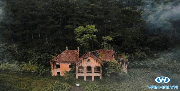 Những ngôi biệt thự cổ được bao quanh bởi cây rừng