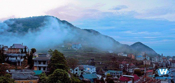 Thị trấn Tam Đảo dịu dàng, xinh đẹp trong sương sớm