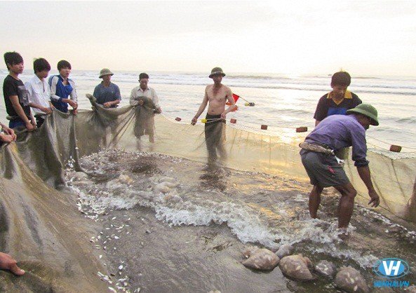 Cảnh ngư dân kéo chài lưới trên bãi biển