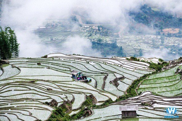 Cao nguyên Mộc Châu tháng 5