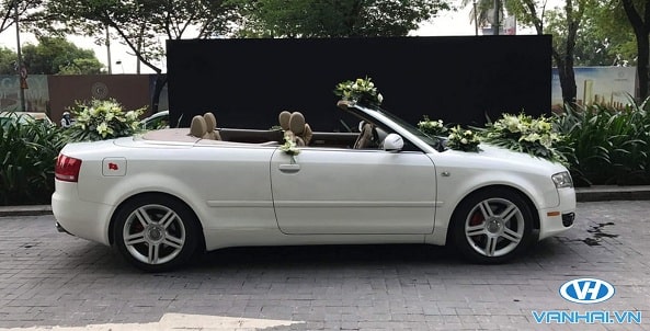 Hình ảnh sang trọng của chiếc xe hoa cưới Audi A4