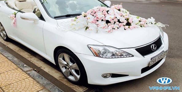 Xe cưới mui trần Lexus hiện đại