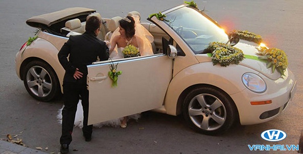 Hình ảnh cặp đôi xuất hiện lộng lẫy bên xe hoa cưới