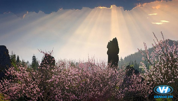 Toàn cảnh Sapa nhìn từ núi Hàm Rồng