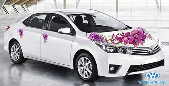 Dịch vụ cho thuê xe cưới Toyota Altis giá rẻ, chất lượng nhất