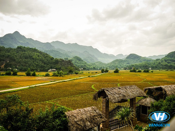 Mai Châu đưa bạn đến gần với thiên nhiên trong lành