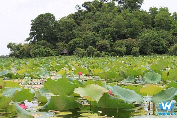 Cảnh quan thiên nhiên nên thơ của hồ Quan Sơn
