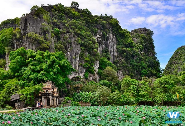 Du lịch Tam Cốc Bích Động: Khám phá “Vịnh Hạ Long trên cạn” ở Ninh Bình