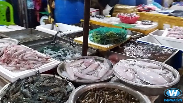 Thăm thú chợ hải sản với đa dạng các loại hải sản tươi ngon