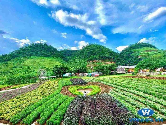 Không gian tươi đẹp của vườn hoa Happy Land