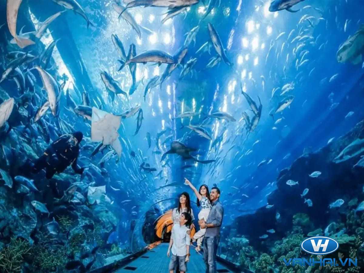 Thế giới sinh vật trong thủy cung Vinpearl Aquarium