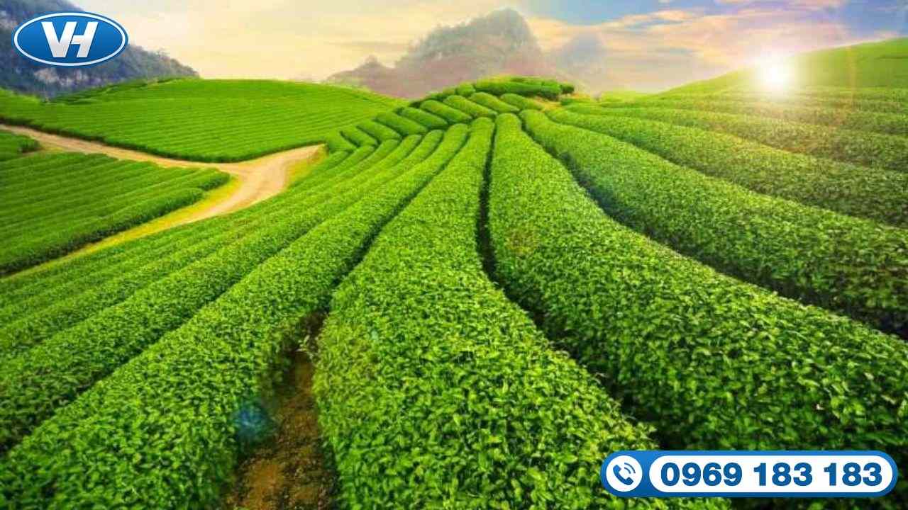 Chiêm ngưỡng khung cảnh thiên nhiên xinh đẹp