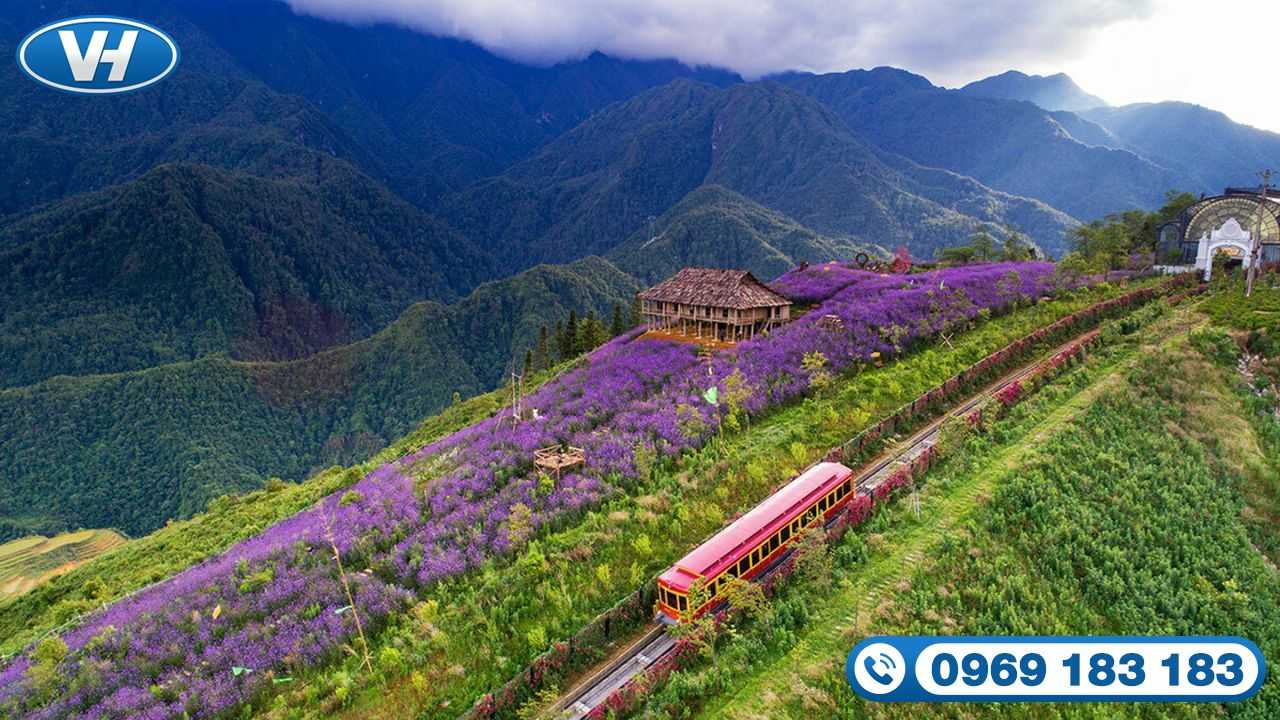 Tour Sapa được du khách quốc tế đặc biệt yêu thích