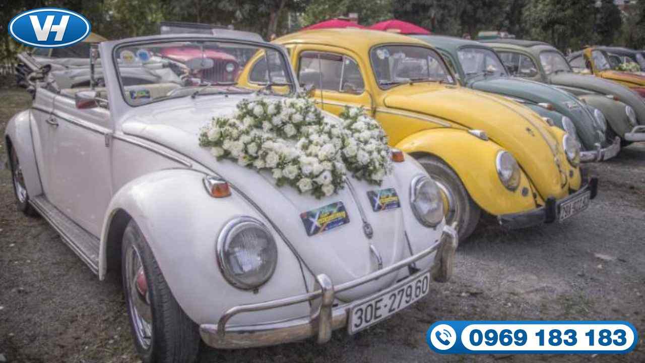 Vân Hải cung cấp dịch vụ thuê xe hoa cưới chất lượng
