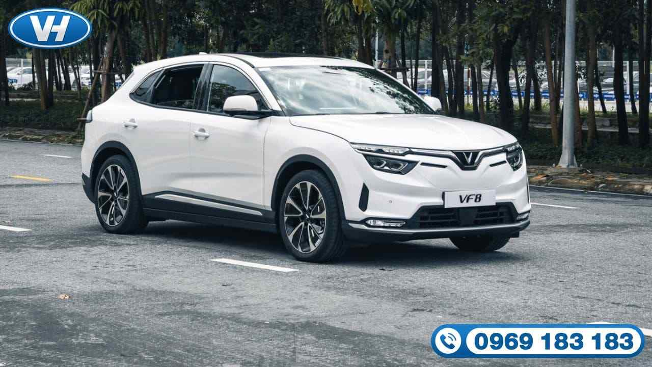 Vân Hải cung cấp dịch vụ thuê xe uy tín
