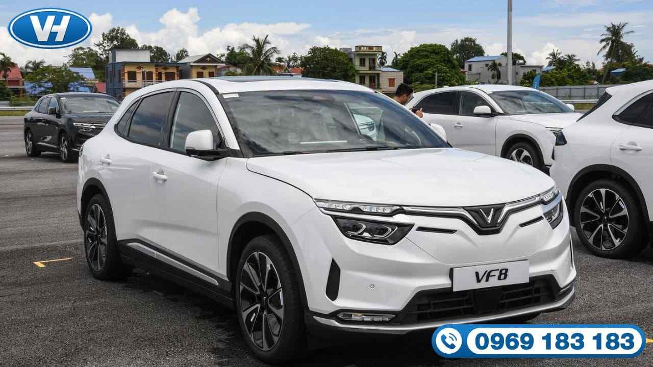 Thoải mái du xuân cùng dịch vụ thuê xe điện