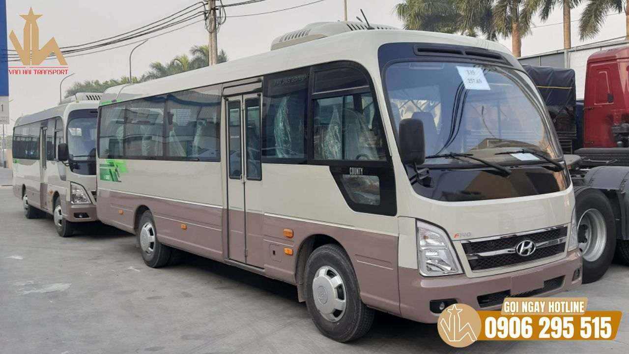 Khám phá Tam Cốc, Bái Đính cùng đoàn